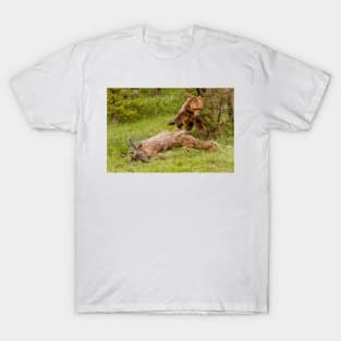 Grizzly Chasing Wolf T-Shirt